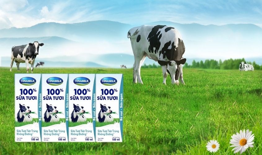 Lốc 4 hộp sữa tươi Vinamilk không đường 180 ml