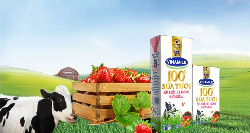 Sữa tươi tiệt trùng Vinamilk có nhiều hương vị để lựa chọn