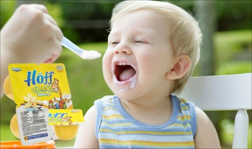 Lốc 4 hũ váng sữa Hoff vị vani 55g