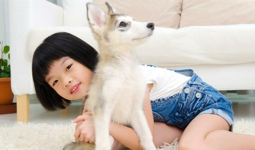 Nuôi thú cưng giúp trẻ tự tin hơn vào bản thân