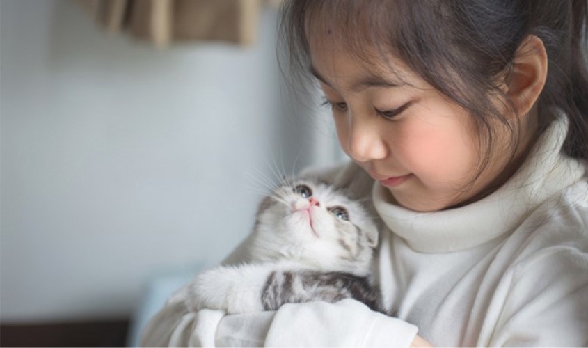 Mèo là một trong những thú cưng phù hợp đối với trẻ