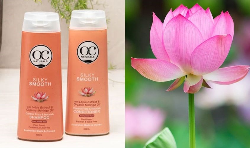 Dầu gội OC Naturals mềm mượt 400 ml chiết xuất từ gốc thực vật an toàn cho da đầu