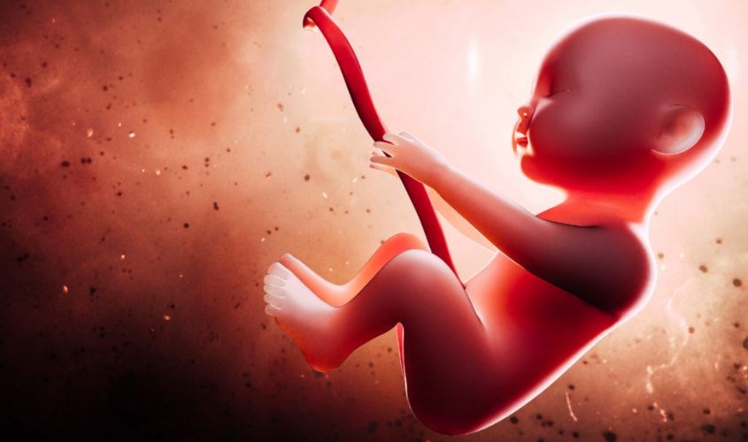 Vì sao thai nhi nấc cụt? Lý giải nguyên nhân gỡ rối mối lo cho mẹ bầu