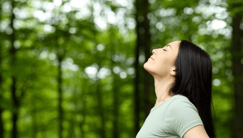 Hít không khí trong lành tốt cho sức khỏe tinh thần