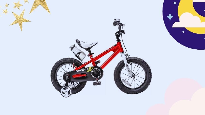 Xe đạp trẻ em RoyalBaby Freestyle RB16B-6 16 inch