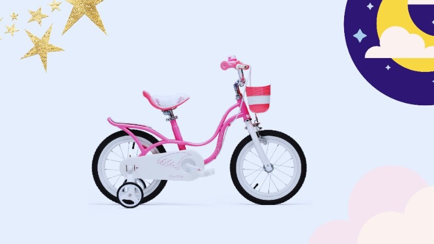 Xe đạp trẻ em RoyalBaby Little Swan RB18-18 18 inch