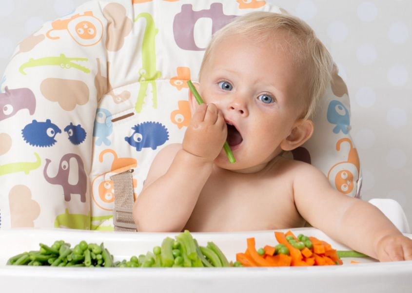 Phương pháp ăn dặm BLW khuyến nghị dành cho trẻ 6 tháng tuổi Nguồn ảnh từ bekiapadres