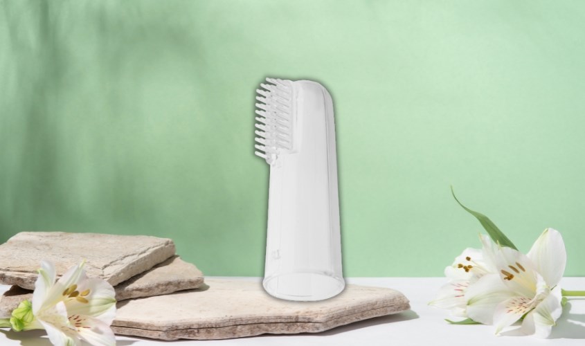 Dụng cụ chải răng nướu Pur 6504