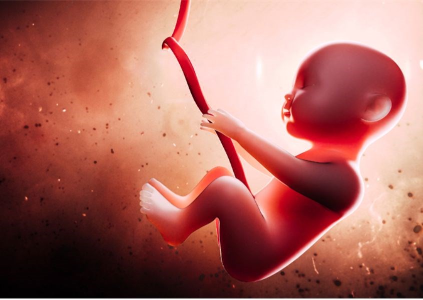 Dinh dưỡng ảnh hưởng trực tiếp đến quá trình hình thành các bộ phận trên cơ thể thai nhi. Nguồn ảnh Freepik