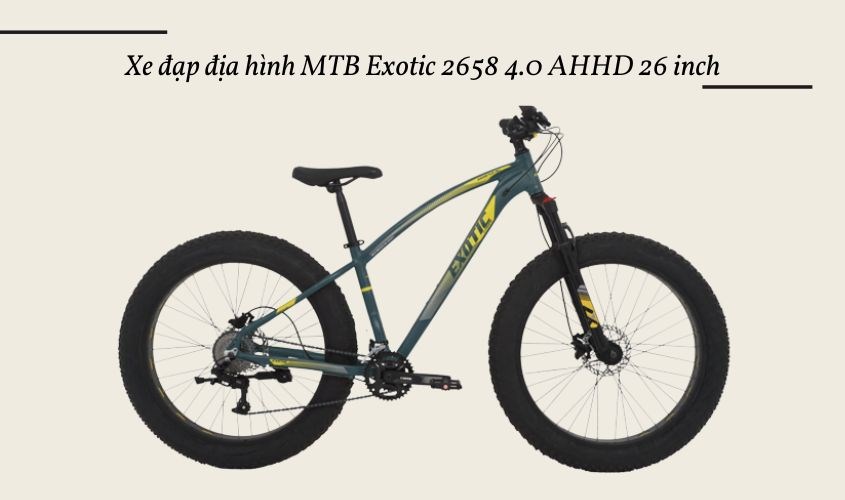 Xe đạp địa hình MTB Exotic 2658 4.0 AHHD 26 inch