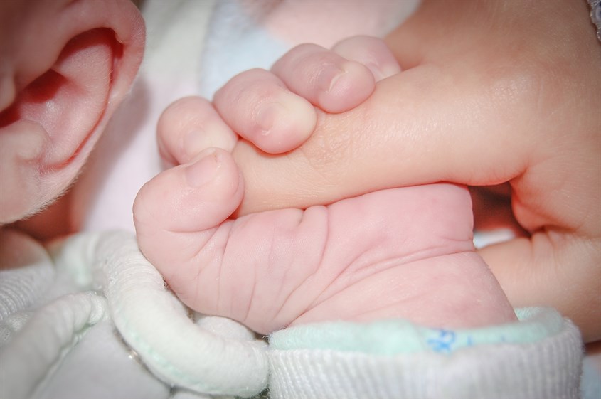 Kỹ năng cầm nắm trẻ sơ sinh là một trong những kỹ năng quan trọng của các bậc phụ huynh. Hãy theo dõi ảnh về cách cầm nắm bé sơ sinh để chuẩn bị tốt nhất cho những ngày đầu tiên của bé yêu.