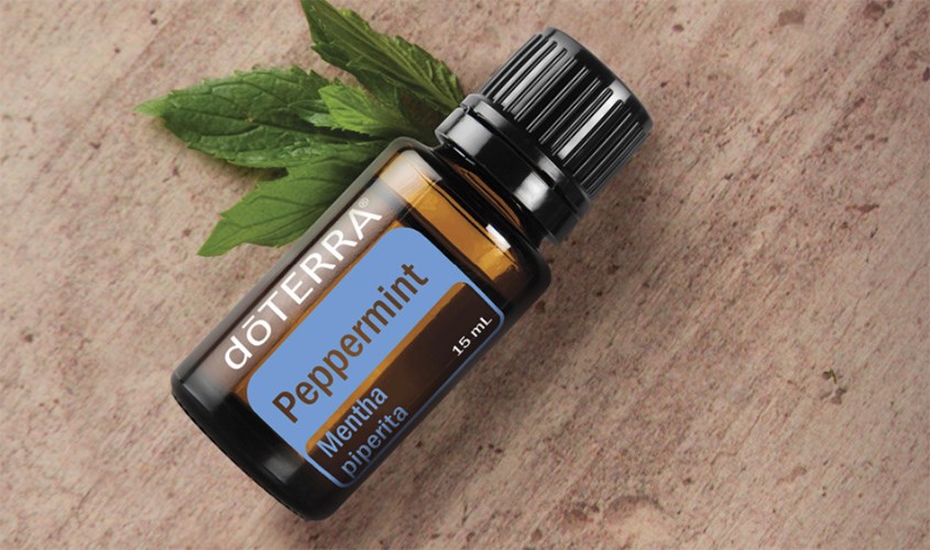 Tinh dầu bạc hà