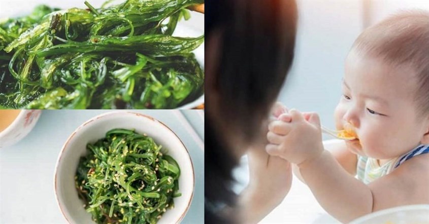 Chỉ nên cho trẻ từ 6 tháng tuổi trở lên ăn rong biển