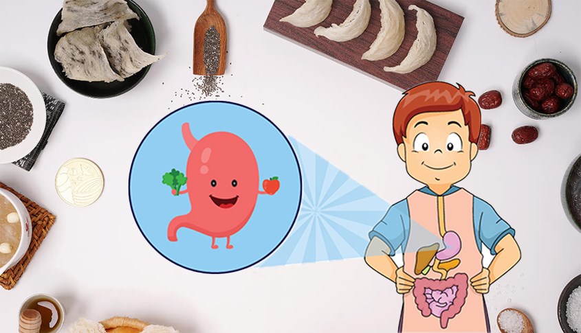 Bé một tuổi có hệ tiêu hóa đã hoàn chỉnh có thể tiêu hóa chất sơ Bé một tuổi có hệ tiêu hóa đã hoàn chỉnh có thể tiêu hóa tốt chất sơ