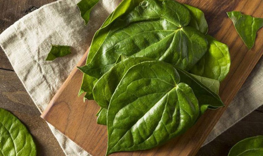 cách vệ sinh vùng kín cho trẻ sơ sinh bằng lá trầu không an toàn