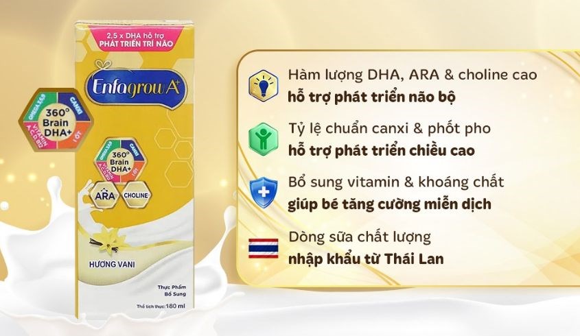 Thùng 24 hộp sữa pha sẵn Enfagrow A+ 360° Brain DHA+ hương vani 180 ml (từ 2 tuổi)