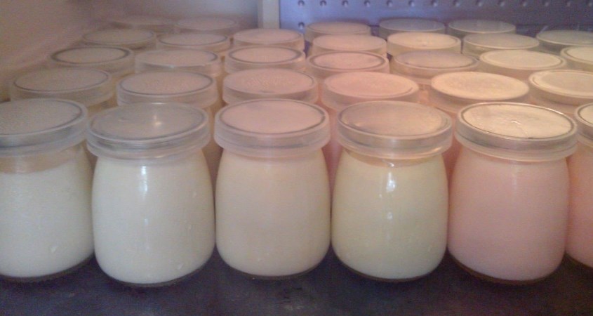 Nên bảo quản sữa chua trong tủ lạnh