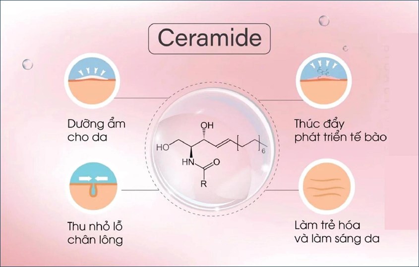 Công dụng của ceramide