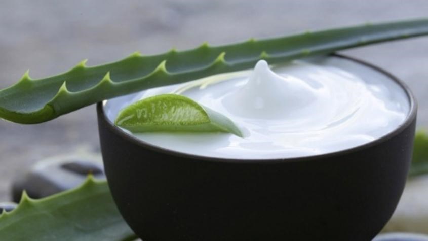 Hỗn hợp nha đam và sữa chua giúp tóc đỡ xơ rối và gãy rụng