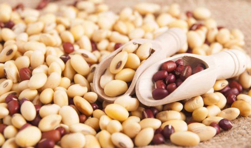 Sữa đậu nành đậu đỏ chứa các thành phần vitamin và dưỡng chất