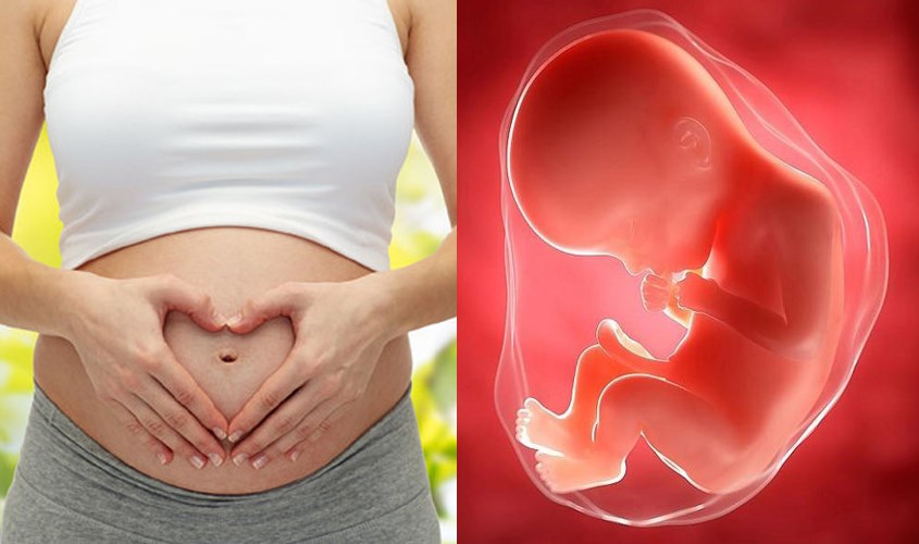 Sữa bầu Dielac Mama Gold ngăn ngừa dị tật ở thai nhi