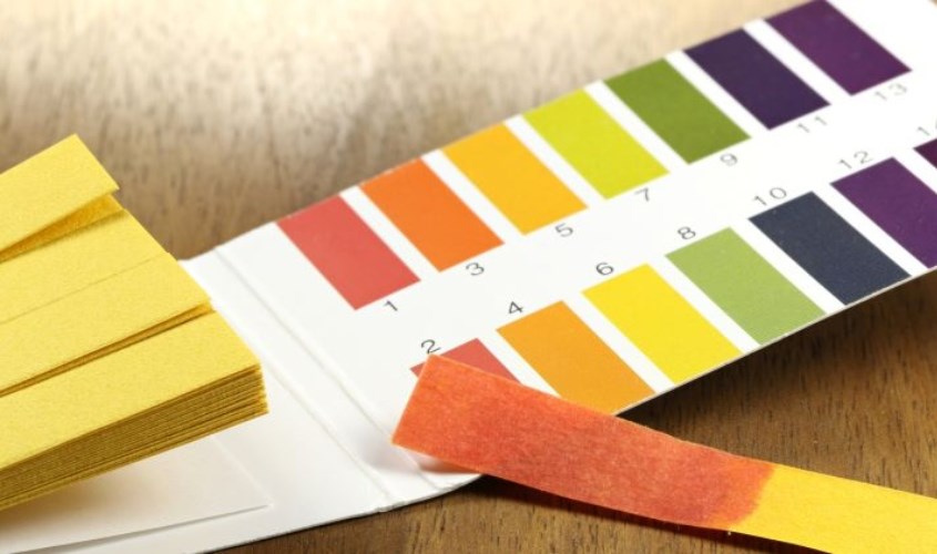 Sử dụng quỳ tím để xác định độ pH của sữa rửa mặt