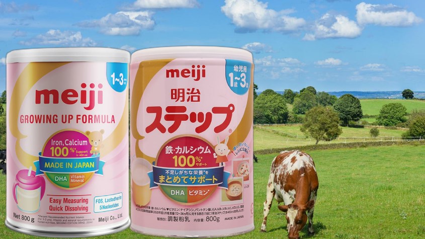 Sữa bột Meiji Growing Up Formula 800g và Sữa bột nội địa Nhật Meiji Step Milk vị nhạt thanh 800g