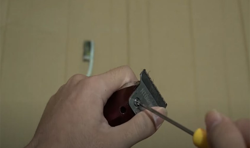 Cách tháo tông đơ barber