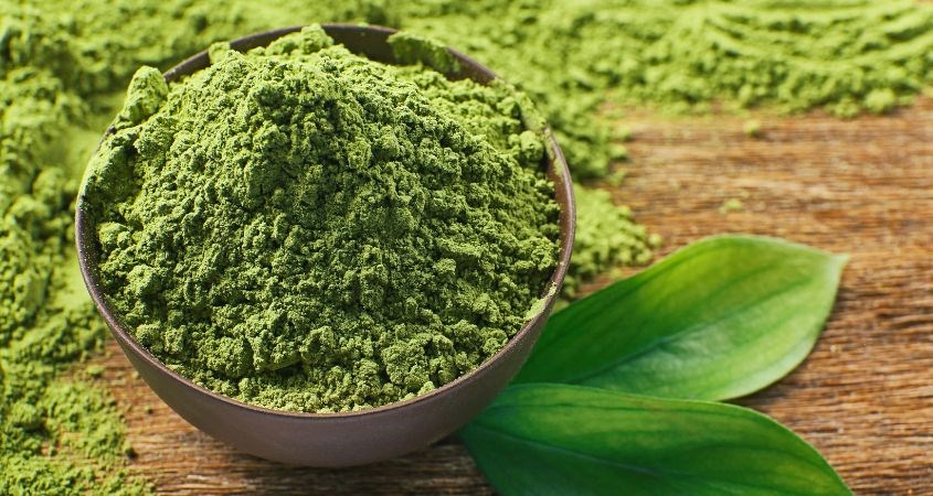 Trà xanh chứa catechin có tác dụng tiêu diệt vi khuẩn, loại bỏ độc tố hạn chế mụn ẩn cho da