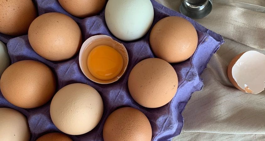 Lòng trắng trứng gà giúp se khít lỗ chân lông, ngăn ngừa mụn ẩn hình thành