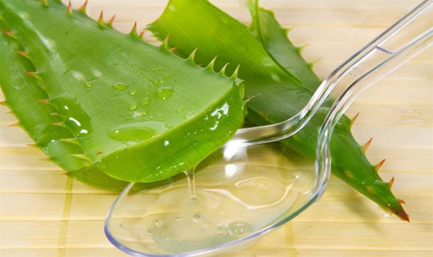 Nha đam là nguyên liệu dưỡng da, trị thâm phổ biến