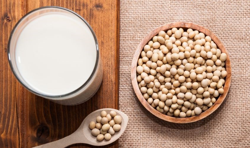 Sữa đậu nành được chế biến từ hạt đậu nành