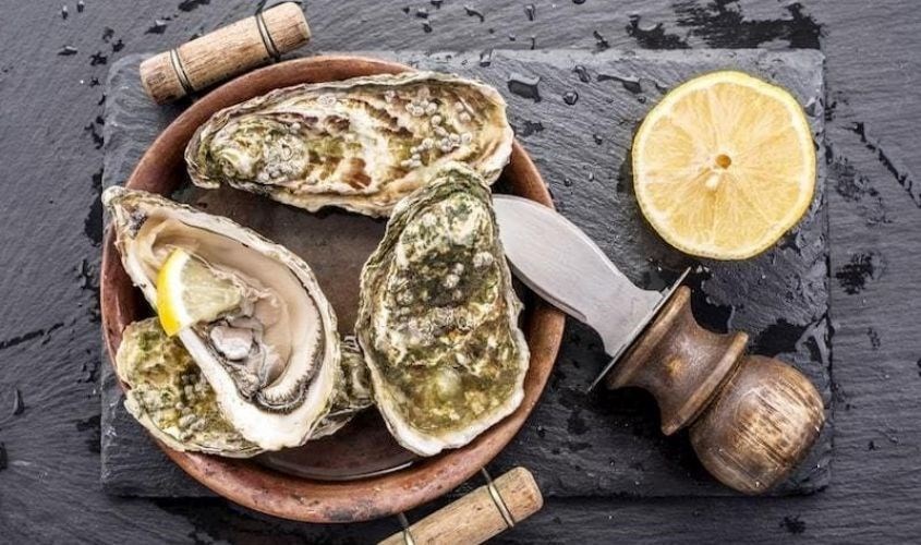 Các chất dinh dưỡng có trong động vật có vỏ tốt cho tim và cũng rất quan trọng đối với sức khỏe não bộ Các chất dinh dưỡng có trong động vật có vỏ tốt cho tim và cũng rất quan trọng đối với sức khỏe não bộ