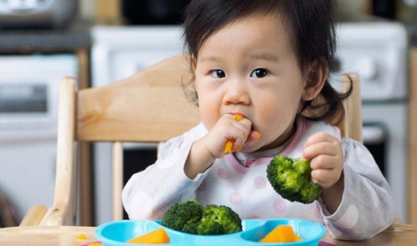 Phương pháp ăn dặm BLW giúp bé được tự do khám phá các mùi vị yêu thích