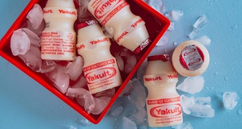 Sữa chua uống Yakult quen thuộc với nhiều người dùng