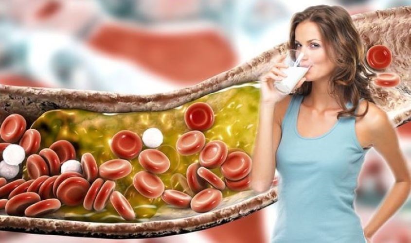 Sữa chua uống giảm cholesterol trong máu