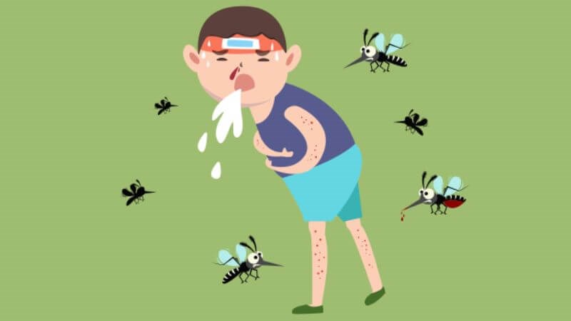 Sốt xuất huyết là bệnh truyền nhiễm cấp tính do virus Dengue, lây truyền qua muỗi gây ra Sốt xuất huyết là bệnh truyền nhiễm cấp tính do virus Dengue, lây truyền qua muỗi gây ra