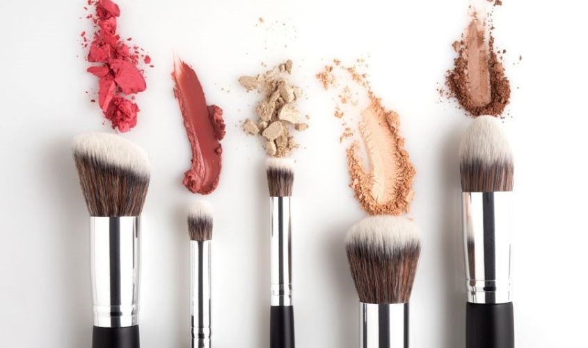 Mỗi loại cọ đều có công dụng riêng