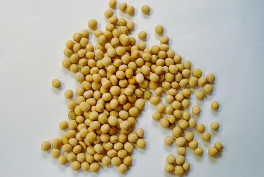 Sữa đậu nành có thể thay thế cho sữa bò, kèm vài lưu ý. Nguồn: Unsplash