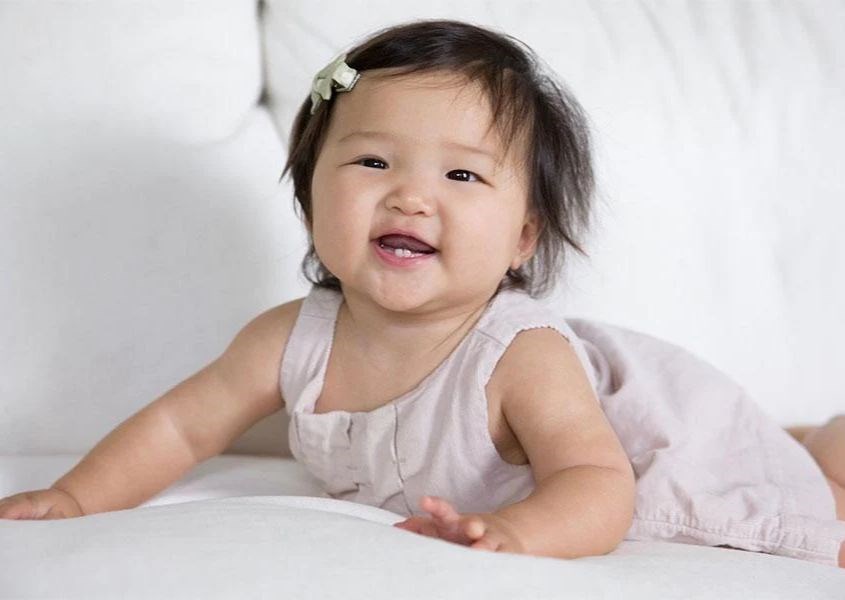 Trẻ mới biết đi sẽ mọc răng gì? Nguồn từ shopify