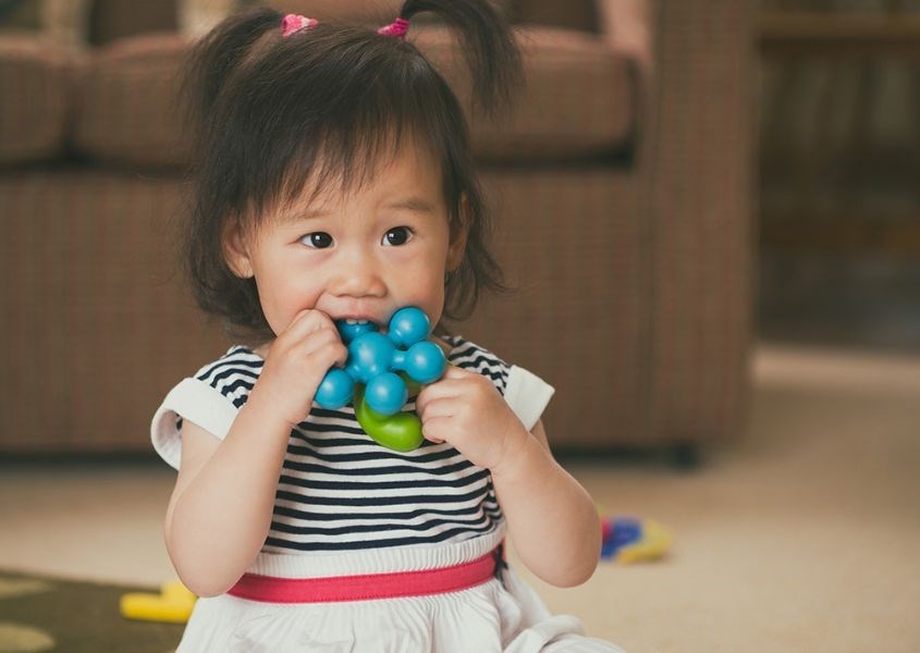 Trẻ mới biết đi khi mọc răng sẽ thường cắn đồ chơi. Nguồn từ raisingchildren