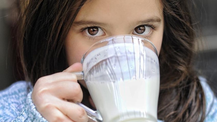 Trẻ em nên uống sữa bò để hấp thu được nhiều chất dinh dưỡng