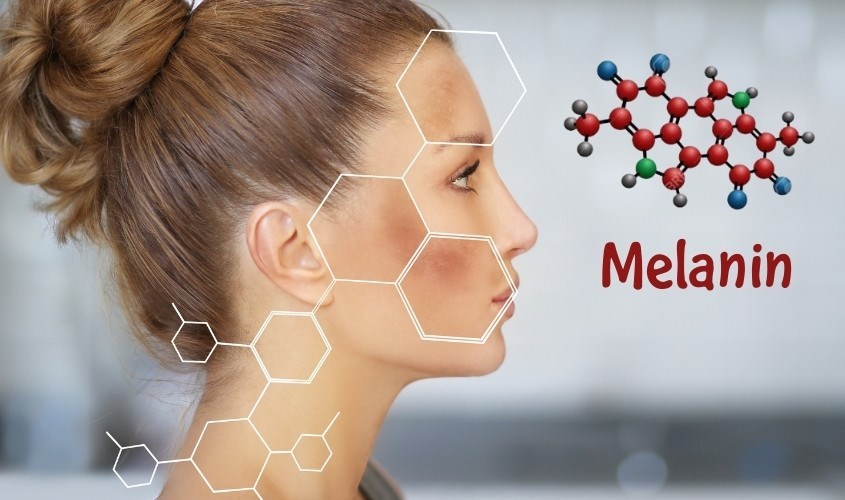 sắc tố melanin