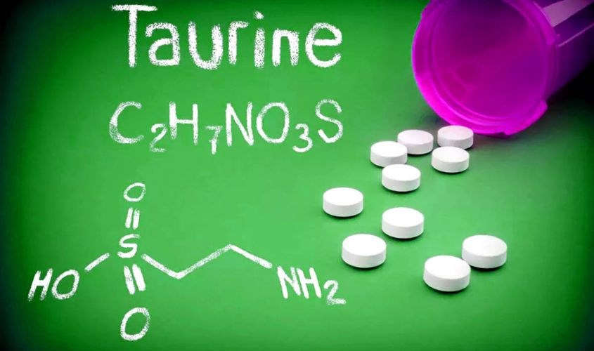 Taurine là một loại axit amin có vai trò quan trọng đối với cơ thể