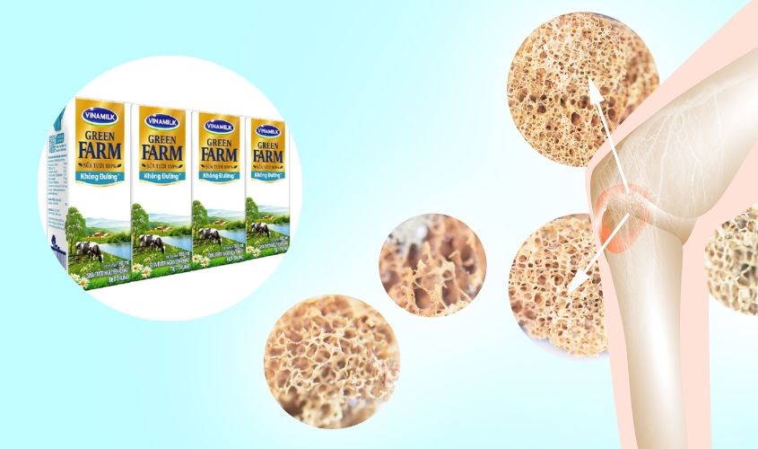 Lốc 4 hộp sữa tươi Vinamilk Green Farm không đường 180 ml