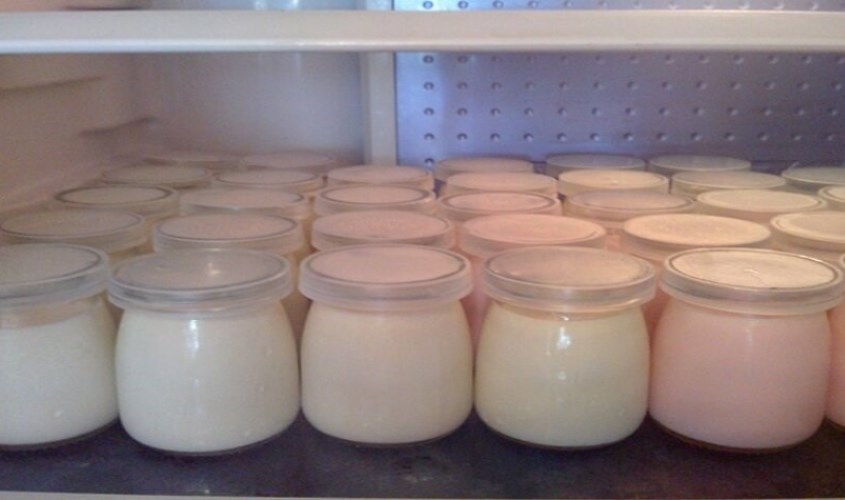 Bảo quản sữa chua tự làm trong ngăn mát tủ lạnh