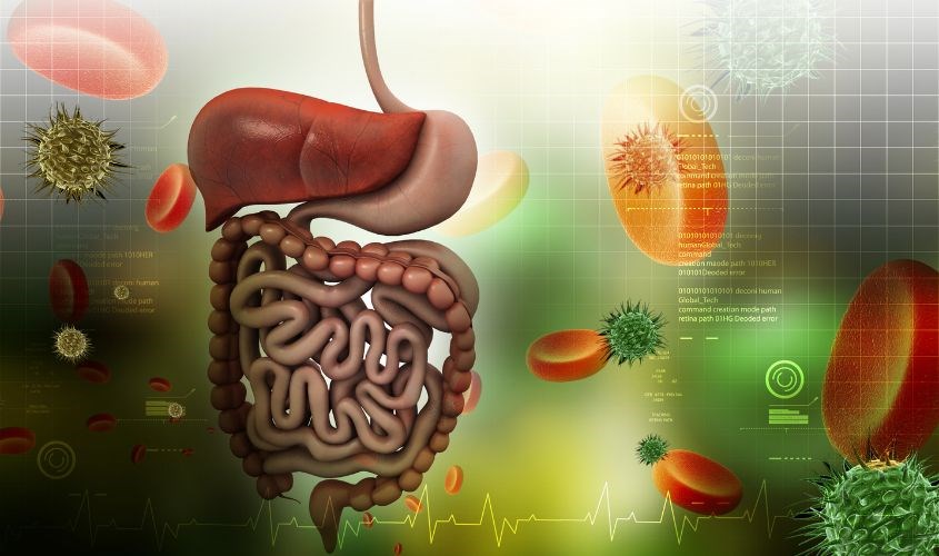 Ăn quá nhiều rong biển có thể gây rối loạn tiêu hóa Ăn quá nhiều rong biển có thể gây rối loạn tiêu hóa