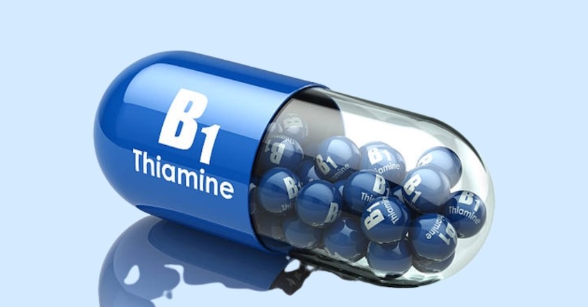 Bổ sung vitamin B1 dạng uống phù hợp với từng độ tuổi Bổ sung vitamin B1 dạng uống phù hợp với từng độ tuổi