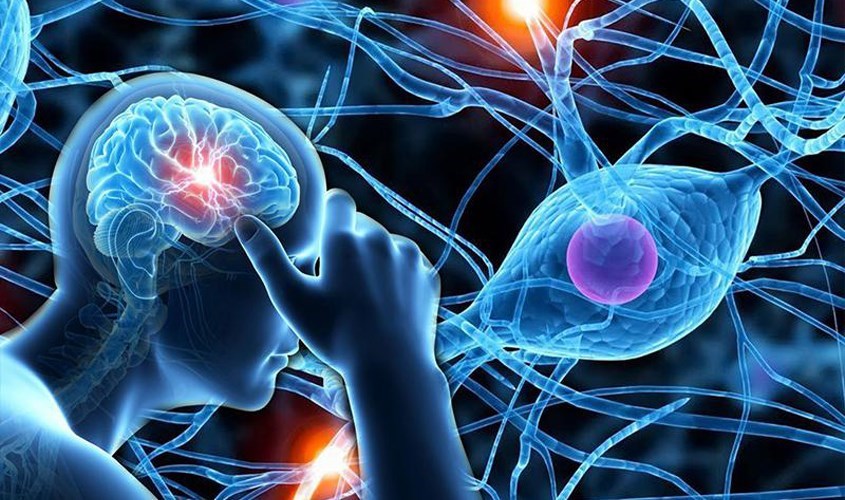 Vitamin B1 giúp phòng tránh tổn thương hệ thần kinh Vitamin B1 giúp phòng tránh tổn thương hệ thần kinh