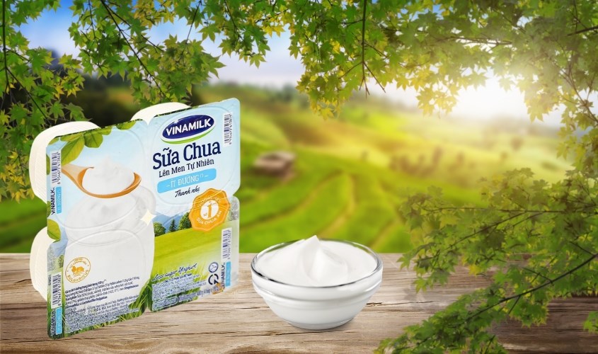 Lốc 4 hộp sữa chua ít đường Vinamilk 100g (từ 1 tuổi) Lốc 4 hộp sữa chua ít đường Vinamilk 100g (từ 1 tuổi)